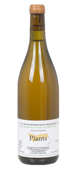 PIANTA ETNA BIANCO